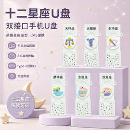 十二星座u盘3.0高速传输大容量typec双接口手机电脑两用制定logo