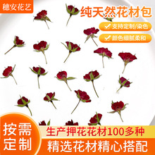 厂家定制干花标本半切玫瑰DIY滴胶蜡烛美甲相框玫瑰花押花材料包