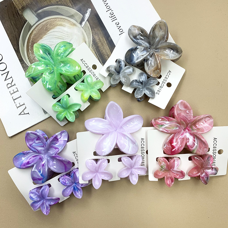 96g Weight Hair Claws Hair Accessories Type 1 Set Quantity Daily Occasion Plastic, Resin Material Plumeria Pattern All Seasons Season Women's Gender Stoving Varnish Design Cute Style Cute Women's Plumeria Plastic Resin Stoving Varnish Hair Claws 12