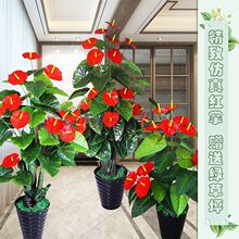 ����Gֲ�ټt�Ƽ٘�lؔ�����ֲ����ش��Ϳ͏d�辰�ٻ������b�