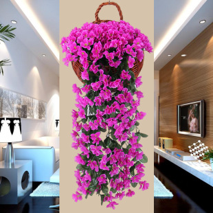 ��c���_�m�ڒ���滨�ٗl�ҾӔ[�� �ٻ��b���ֲ�ｑ��ڒ컨
