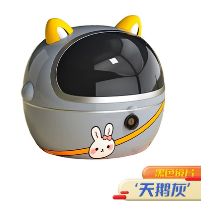 Electric car tail box – Capacity Backrest Storage Box - swan-gray-single-tail-box-free-screw-accessories