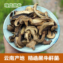 云南特产野生菌黑牛肝菌干货 食用菌小黑桃美味牛肝菌批发