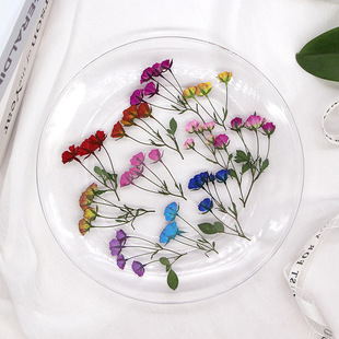 Yuewei Multi-head Flower Dried Flower Embossed Plant Specimen Leaves Handmade Photo Frame Glue Drop diy Bookmark Material Baffle
