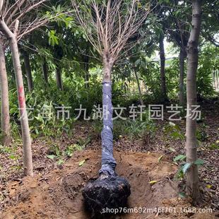 �V�|ȫ�ڴ��~�� �����Ǽܴ��~�žG���� �������~�Ńr��