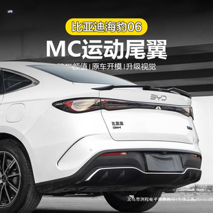 Tail Fin Carbon Fiber Pattern for Seal 06 Mc Tail Fin 06Dmi Seal 06 Tail Fin Modification Car Accessories