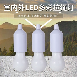 提灯;手电筒;野营/露营灯