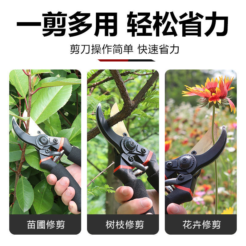 tijeras de jardinería tijeras de corte de árboles frutales al por mayor tijeras de corte de ramas gruesas jardín tijeras para ramas tijeras de corte de flores tijeras de corte tijeras de recolección de frutas