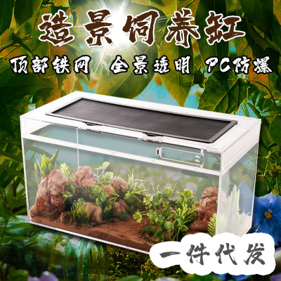 亚力克水晶爬虫箱爬宠缸饲养盒高透明角蛙睫角蜥蜴乌龟仓鼠造景缸|ms