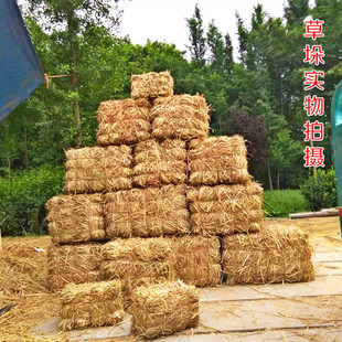 Outdoor Farmhouse Haystack Wedding Scene Haystack Haystack Storage Area Insulated Haystack Haystack Straw Stack Winter Square
