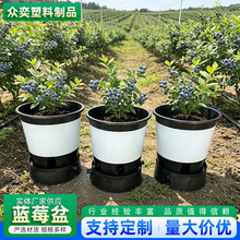 塑料花盆25L30L圆形大号蓝莓盆加厚苗圃基地种植塑料蓝莓盆