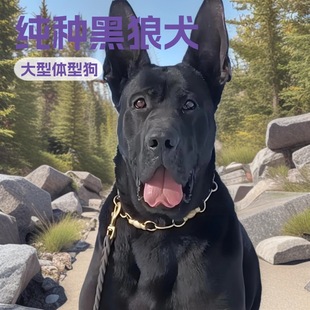 ���ƺ���Ȯ�����o�lȮ����Ȯ��Ȯ���w���ﹷ����HȮ����Ȯ�ǹ�