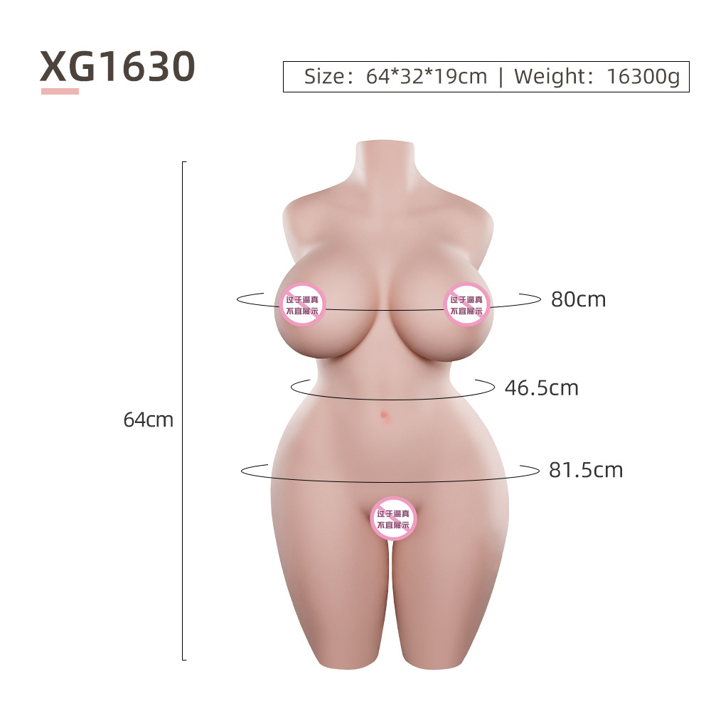 가슴 반신 몰드 16.3kg