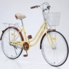Exclusive yellow single speed