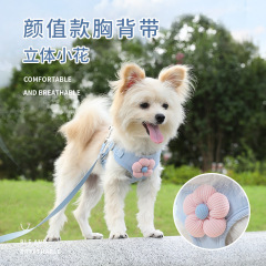 子犬犬牽引紐犬ベスト小型子犬テディ比熊博美比熊ストラップチェーン犬の散歩に出かけます。