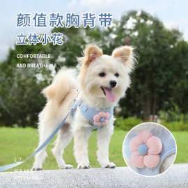 小狗狗牵引绳狗狗背心小型幼犬泰迪比熊博美比熊背带链子外出遛狗