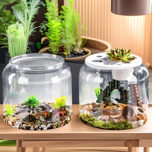 Plastic Micro-Landscape Turtle Tank Transparent High-Definition Reptile Tank with Cover Multi-Functional Ladder Ecological Tank Goldfish Tank