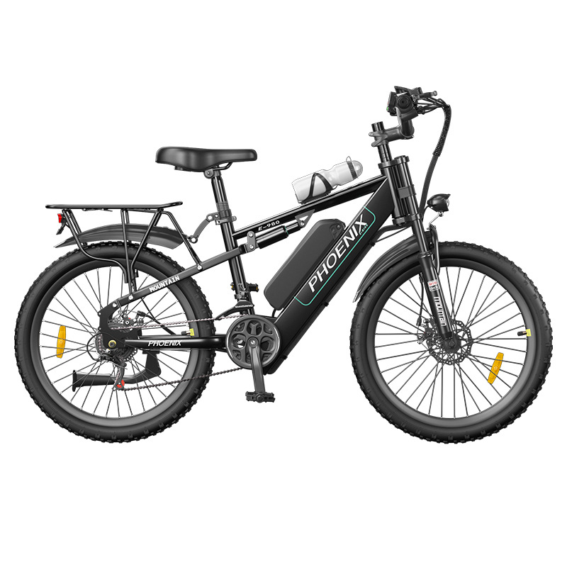Rueda elegante negra + radiada