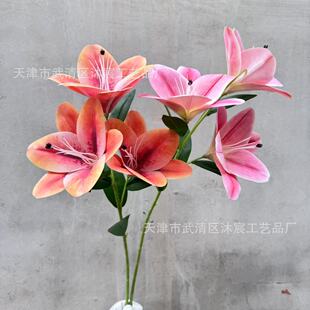 3d��ӡ��ˮ�ٺϼҾӾƵ��c�b羳���l��Ʒ�|�ٺ�