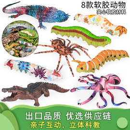 儿童仿真实心TPR动物模型大蜘蛛鬣蜥毛毛虫八爪鱼鳄鱼响尾蛇玩具