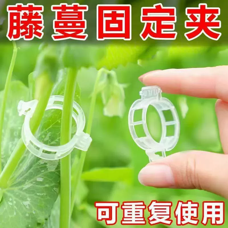 Зеленое растение, фруктовое дерево, зажим для фиксации растений, пряжка, фиксатор для виноградной лозы, опорный стержень для саженцев, вьющихся виноградных лоз, подвесной зажим для саженцев фруктов и овощей