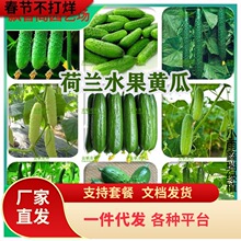 һ�����lˮ���S�ϷN����Ʒ�Nժ������ͥ�߲˷Nֲ�ڸк�Ʒ�|������