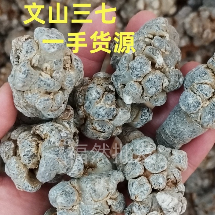 云南文山春三七田七精选带剪口产地批发发货规格齐全无硫产地直供