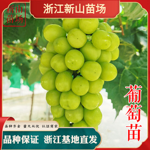 ������ ꖹ�õ��޷������ĺ������������t�����Ů�����ј���