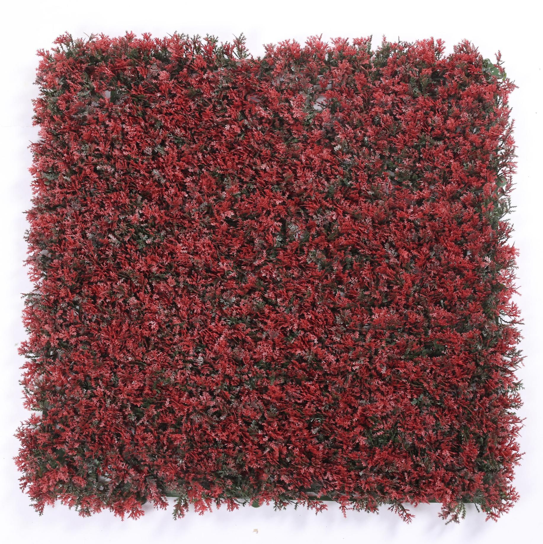Deep red pointed pine