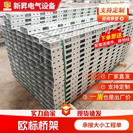 定制欧标不锈钢大跨距防火钢制电缆桥架镀锌多孔电缆走线槽盒出口