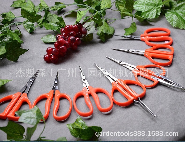 日本近正大嘴鸟花剪铁丝剪 插花剪鲜花剪 镊剪水果剪阳光玫瑰剪