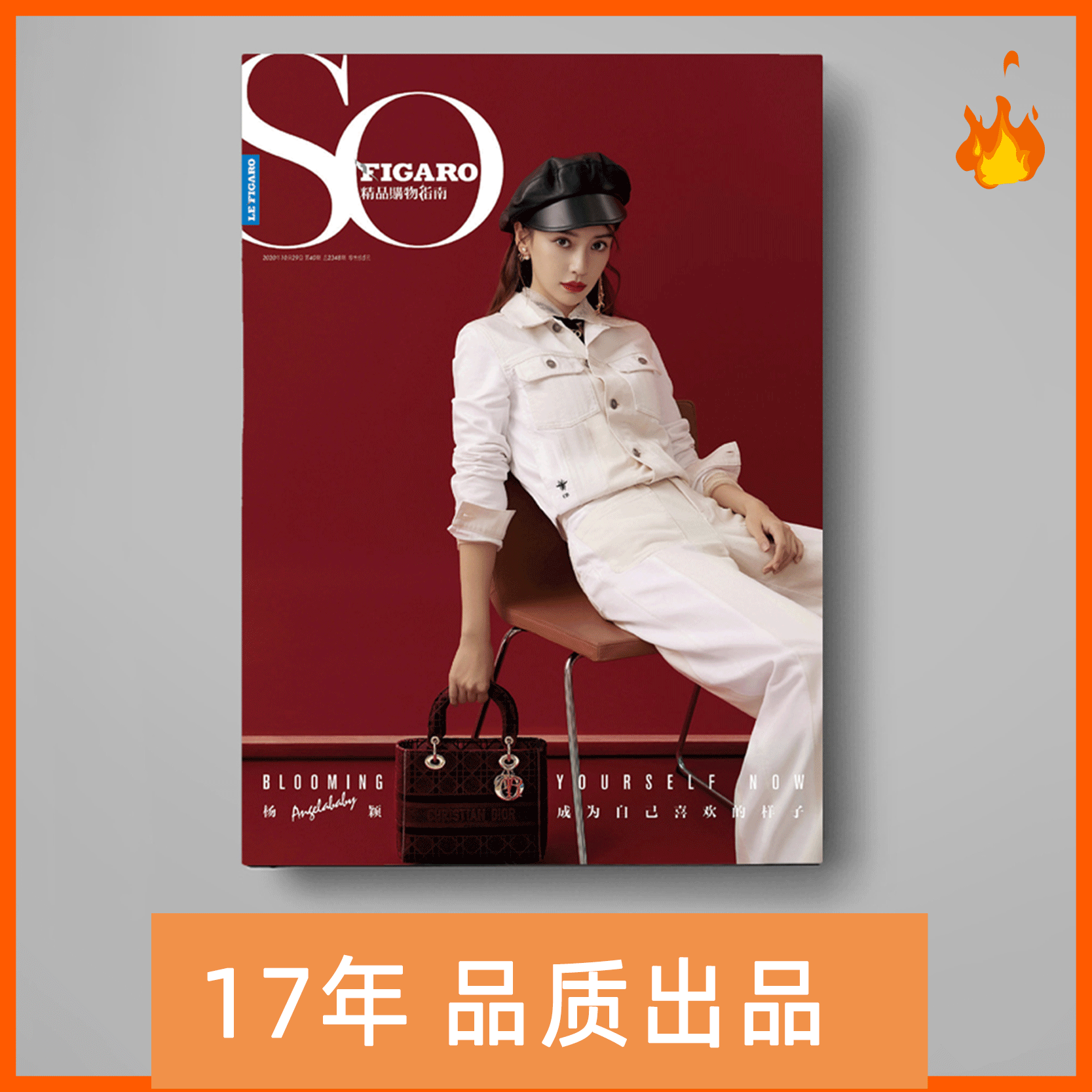 纪念册印刷厂 毕业纪念册照片书厂家 杂志印刷pb制作明星画册印刷