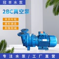 2BC真空泵  铸铁环式真空泵水环式真空泵 铸铁不锈钢水环式真空泵