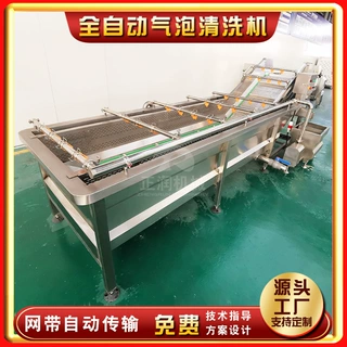 定制水果气泡清洗机 全自动水果加工清洗设备 大型苹果清洗机