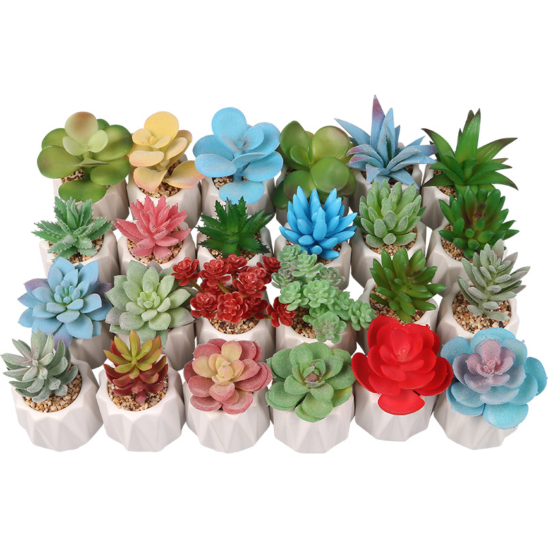 Pequeña ola al por mayor taza tipo simulación planta suculenta nórdico Muebles de Oficina Decoración fresca nuevo producto