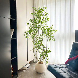 zֲ����������������҃ȴ��ͷ����Gֲ�[���͏d�p���b٘�