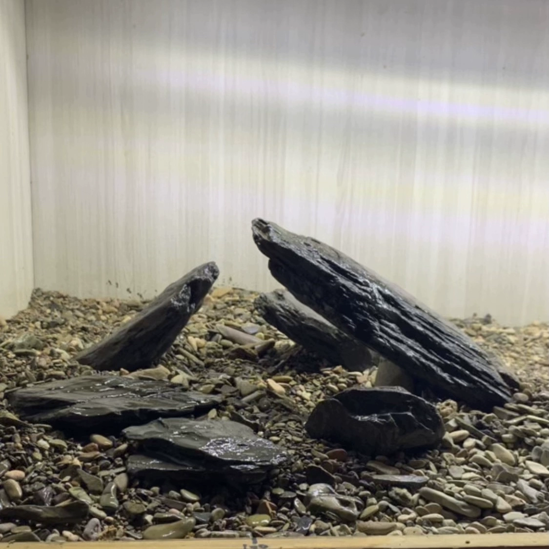 Родной аквариум-ручей Камень Камень Камень Камень Двор Камень Тысячелистая Камень Черепаха Снежный аквариум Главная Камень