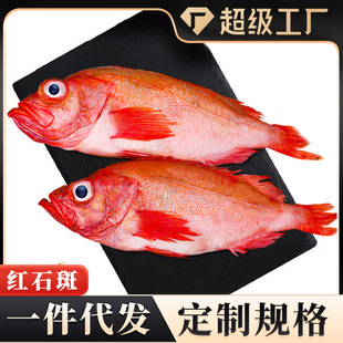 �tʯ���~�r��������󺣲��r����������~���l�����N�ƴ������l