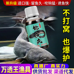 ナマズのイカ釣り薬の餌の巣の餌の餌の魚の薬の野釣りの黒坑の黒魚のひげのカツオの類の谷の蜀道は香を誘います。