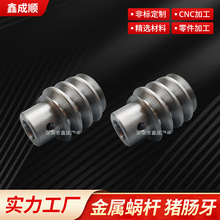 金属蜗杆 猪肠牙 螺杆 齿轮加 工 齿轮定 制 源头厂家