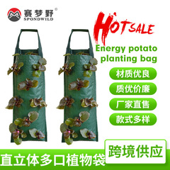 亞馬遜新款PE懸掛草莓袋 跨境壁掛式種植袋垂直立體多口種植袋