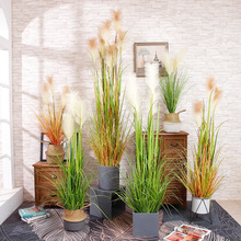 ���Wֲ���JȔ�ٲ����Լٻ��͏d�b���ػ��Gֲ��[�O�辰