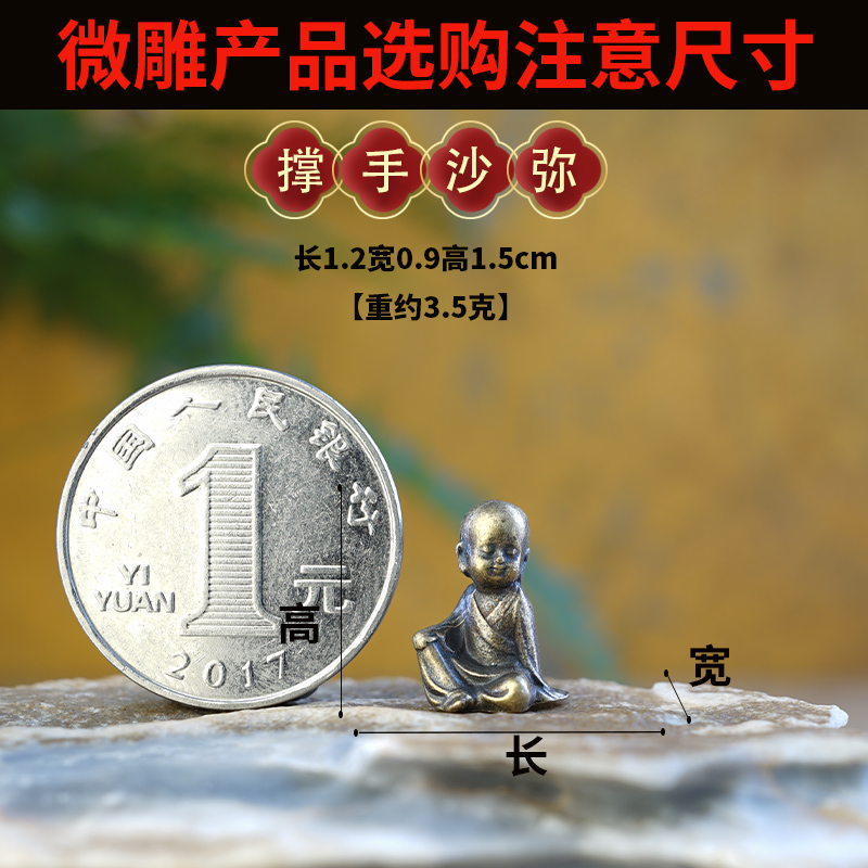 Champagne color—Zhangzhang novice [HJ063]