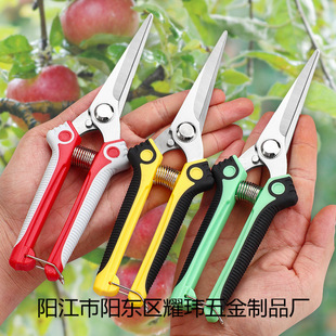 ���������֦�����޼���֦���������޻���@ˇ�������܈@��ժ����