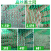 定制防尘盖土网 建筑工地覆盖绿化网防尘网绿色遮阳网 扁丝盖土网