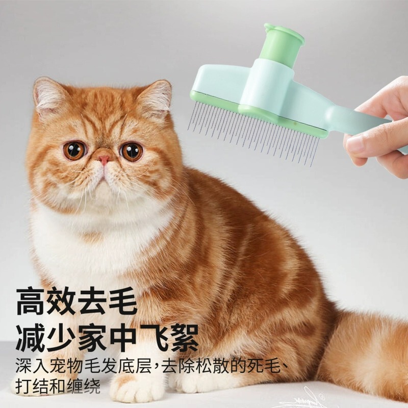 猫の櫛は浮毛針に行って、犬の毛の猫の毛をブラシします。|undefined