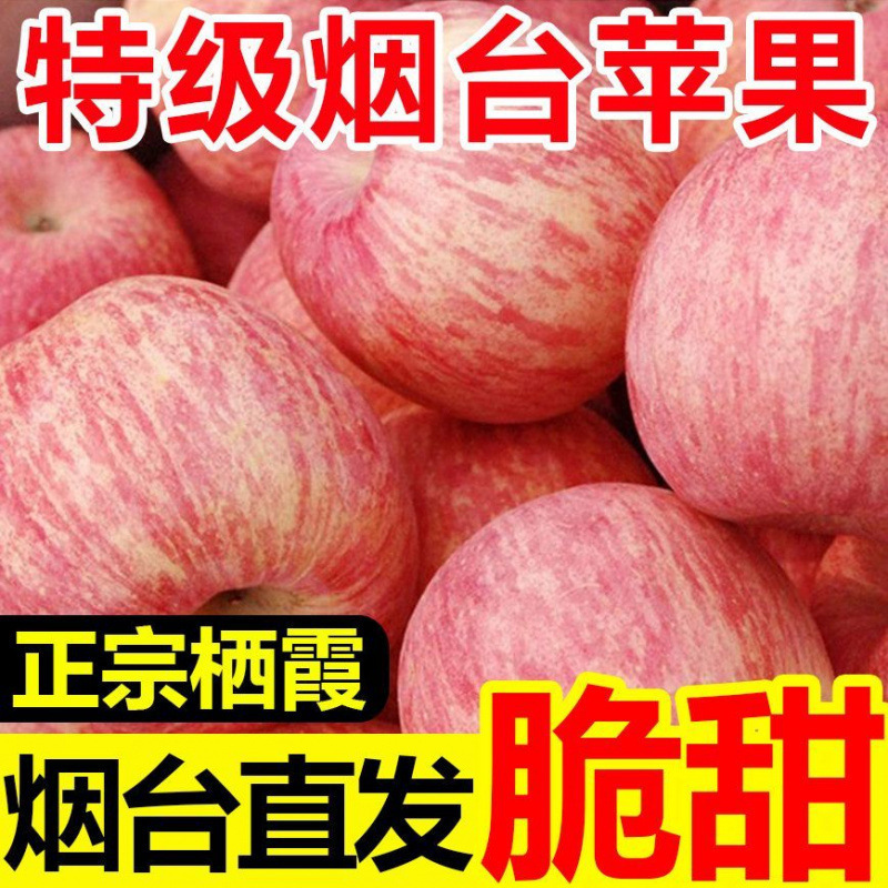 Red Fuji Yantai Apple Factory Qixia Wholesale Wholesale Whole Box Pingguo Shandong Seasonal Fruit Fresh Crispy Sweet One Piece