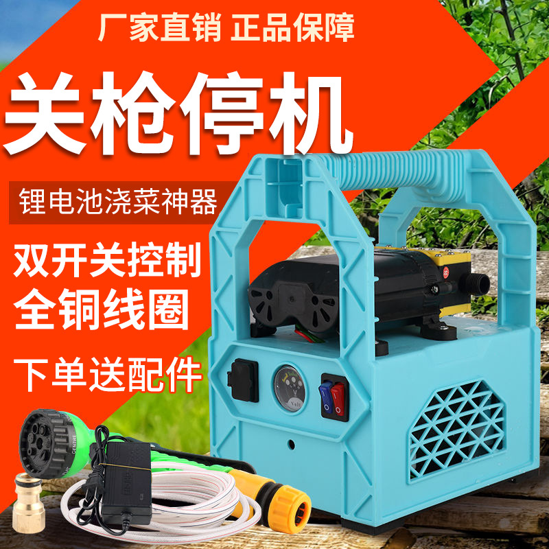 charge Water pump Watered the vegetables outdoors Water pump 12v small-scale Pump portable charge Water pump Self priming pump