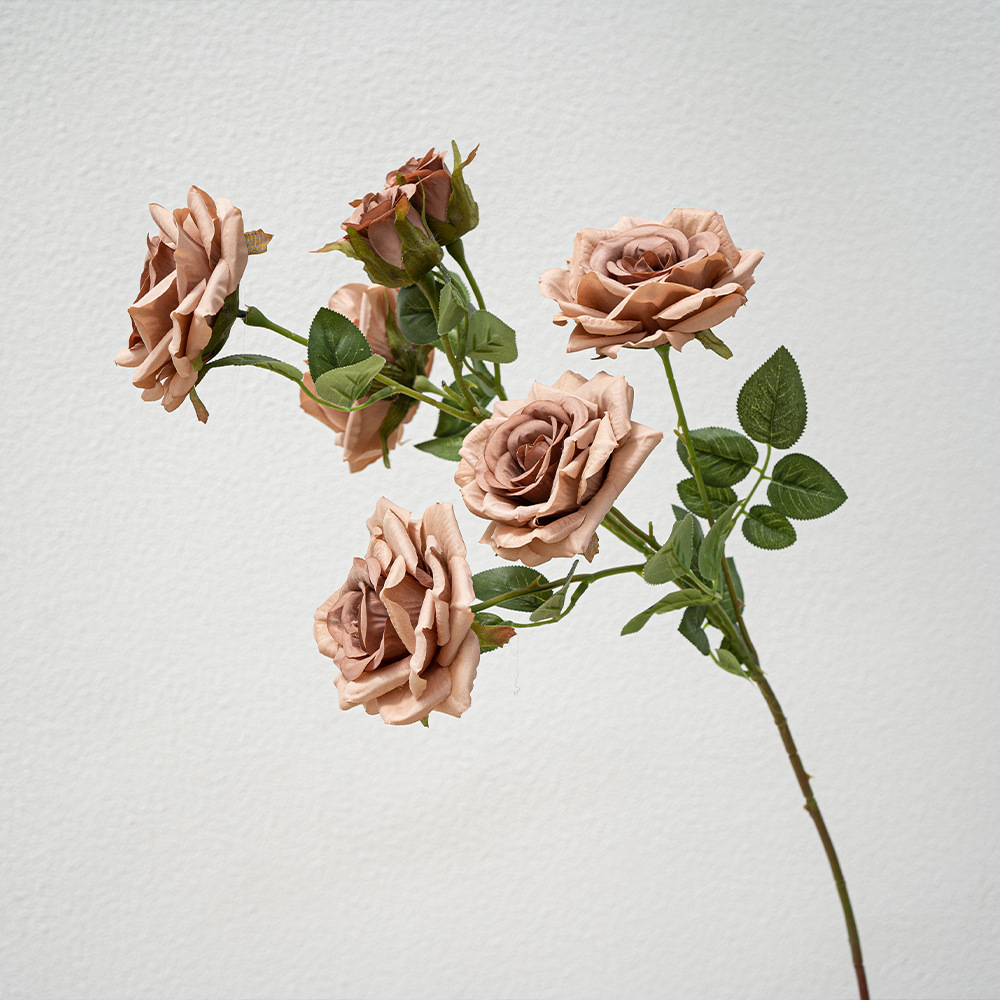 Curry Seven Head Diamond Rose