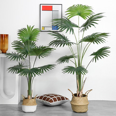 熱帶仿真植物加州蒲葵盆栽室內落地圓葉扇葵假樹樹綠植仿真唐棕葵